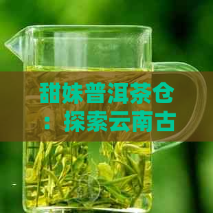 甜妹普洱茶仓：探索云南古树普洱茶的魅力与价值