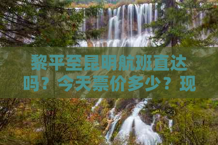 黎平至昆明航班直达吗？今天票价多少？现在还有直飞航班吗？