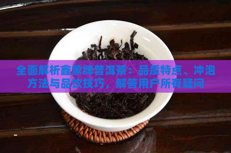 全面解析鑫象牌普洱茶：品质特点、冲泡方法与品饮技巧，解答用户所有疑问