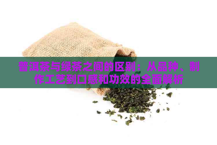 普洱茶与绿茶之间的区别：从品种、制作工艺到口感和功效的全面解析