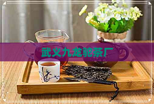 武义九龙驼茶厂