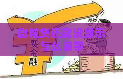 微粒贷还款没显示怎么回事