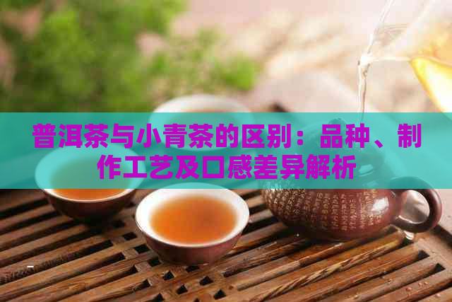 普洱茶与小青茶的区别：品种、制作工艺及口感差异解析