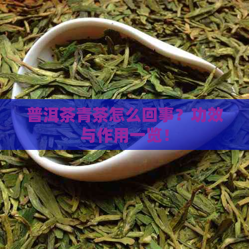 普洱茶青茶怎么回事？功效与作用一览！