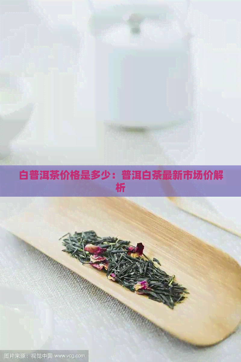 白普洱茶价格是多少：普洱白茶最新市场价解析