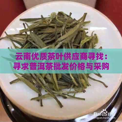 云南优质茶叶供应商寻找：寻求普洱茶批发价格与采购渠道