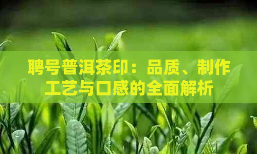 聘号普洱茶印：品质、制作工艺与口感的全面解析