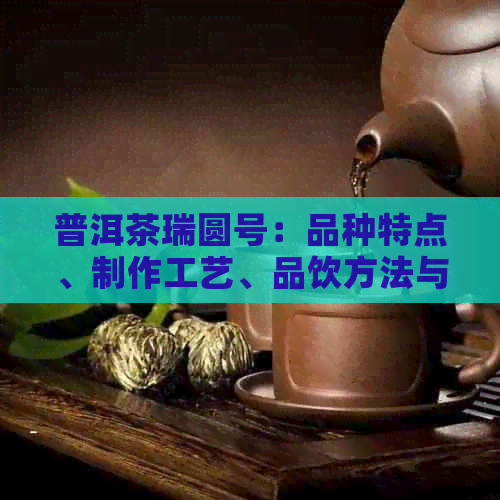 普洱茶瑞圆号：品种特点、制作工艺、品饮方法与文化传承的全面解析