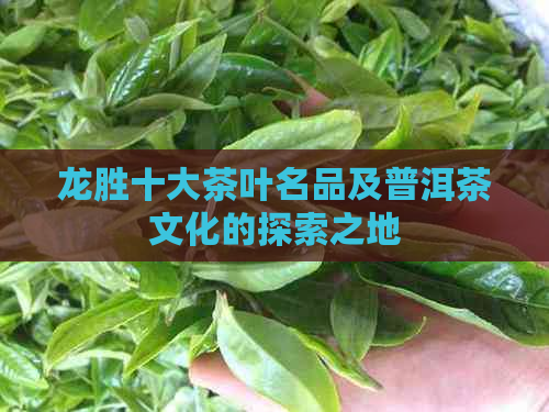 龙胜十大茶叶名品及普洱茶文化的探索之地