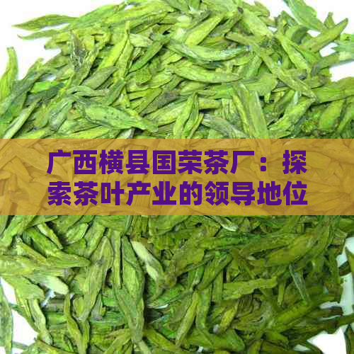 广西横县国荣茶厂：探索茶叶产业的领导地位与创新实践