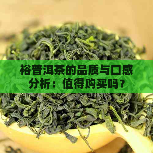 裕普洱茶的品质与口感分析：值得购买吗？