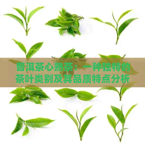 普洱茶心熟茶：一种独特的茶叶类别及其品质特点分析