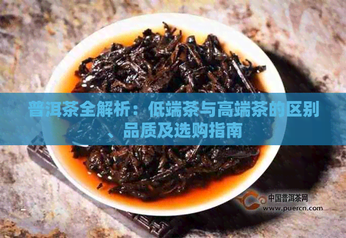 普洱茶全解析：低端茶与高端茶的区别、品质及选购指南