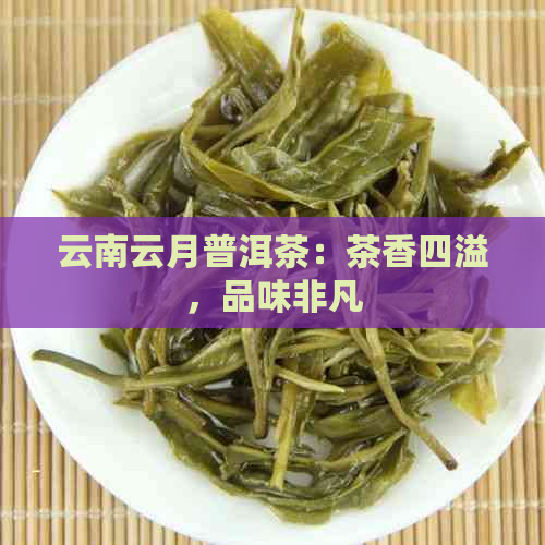 云南云月普洱茶：茶香四溢，品味非凡