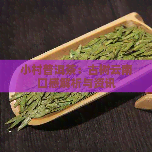 小村普洱茶：古树云南口感解析与资讯