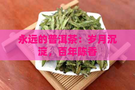 永远的普洱茶：岁月沉淀，百年陈香