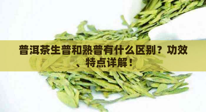 普洱茶生普和熟普有什么区别？功效、特点详解！