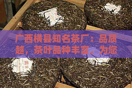 广西横县知名茶厂：品质越，茶叶品种丰富，为您提供一站式购茶体验