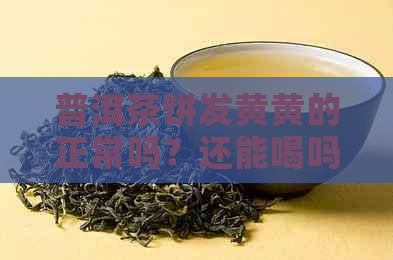 普洱茶饼发黄黄的正常吗？还能喝吗？普洱茶饼有黄点正常吗？