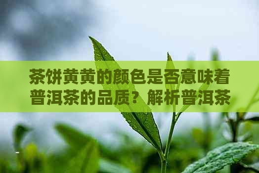 茶饼黄黄的颜色是否意味着普洱茶的品质？解析普洱茶发黄的原因及其可饮用性