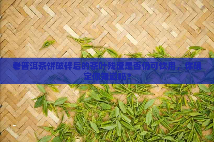 老普洱茶饼破碎后的茶叶残渣是否仍可饮用，你确定你知道吗？