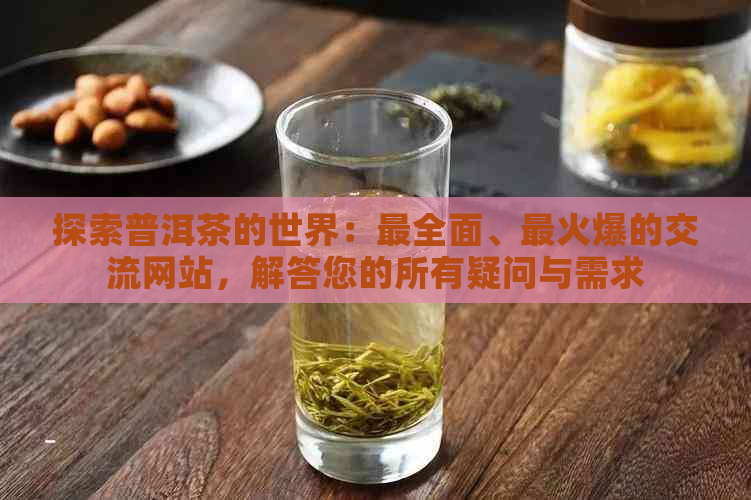 探索普洱茶的世界：最全面、最火爆的交流网站，解答您的所有疑问与需求