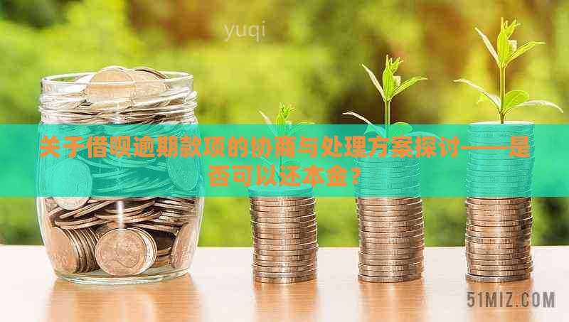 关于借呗逾期款项的协商与处理方案探讨——是否可以还本金？