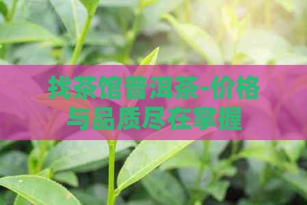 找茶馆普洱茶-价格与品质尽在掌握