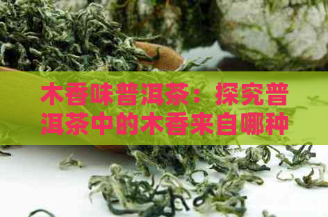 木香味普洱茶：探究普洱茶中的木香来自哪种木材，以及其木质香的特点和感受