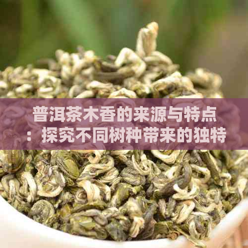 普洱茶木香的来源与特点：探究不同树种带来的独特风味