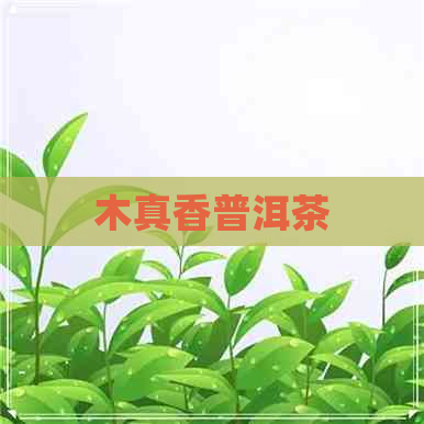 木真香普洱茶