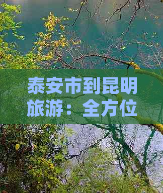 泰安市到昆明旅游：全方位指南、交通、住宿、景点及行程规划