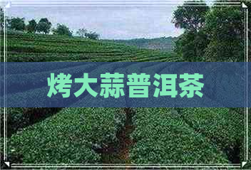 烤大蒜普洱茶