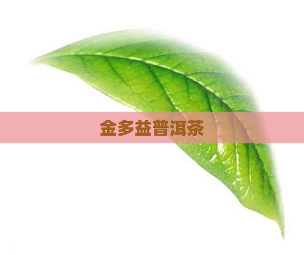 金多益普洱茶