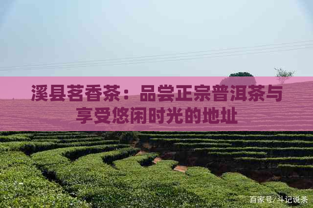 溪县茗香茶：品尝正宗普洱茶与享受悠闲时光的地址