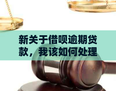 新关于借呗逾期贷款，我该如何处理？是否还有其他解决方案？