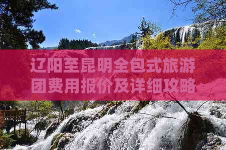 辽阳至昆明全包式旅游团费用报价及详细攻略-沈阳出发自由行低消费之旅