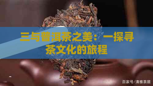 三与普洱茶之美：一探寻茶文化的旅程