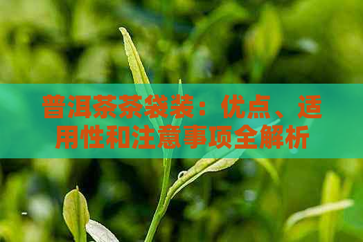 普洱茶茶袋装：优点、适用性和注意事项全解析