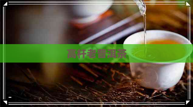 高杆老普洱茶