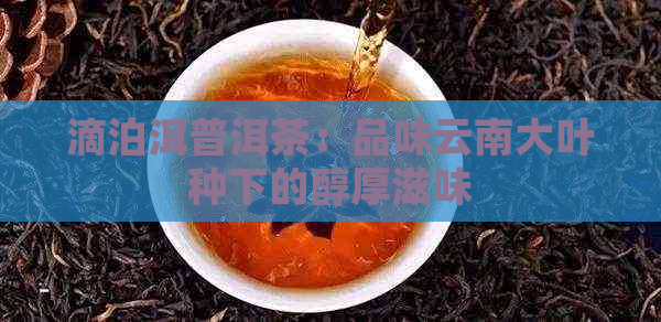 滴泊洱普洱茶：品味云南大叶种下的醇厚滋味