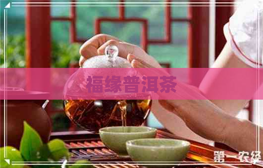 福缘普洱茶