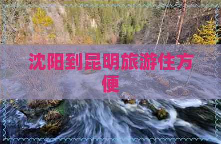 沈阳到昆明旅游住方便