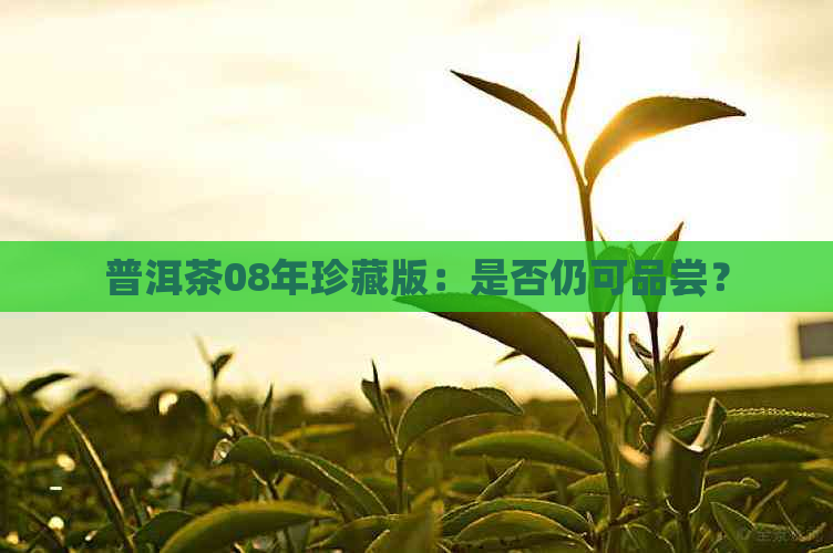 普洱茶08年珍藏版：是否仍可品尝？