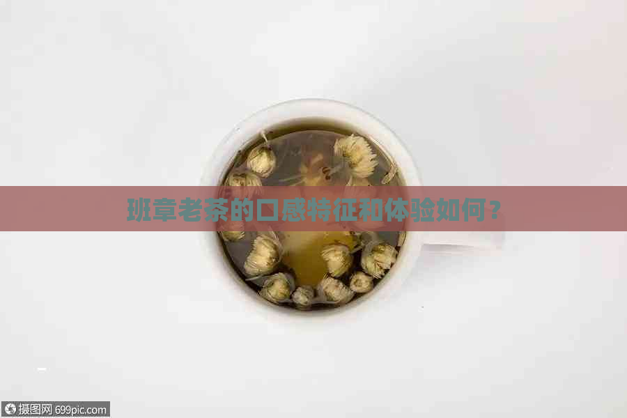 班章老茶的口感特征和体验如何？