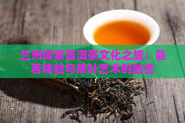 兰州探索普洱茶文化之旅：品茗体验与茶叶艺术的融合