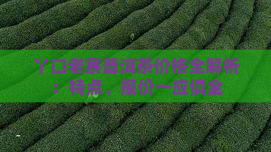 丫口老寨普洱茶价格全解析：特点、报价一应俱全