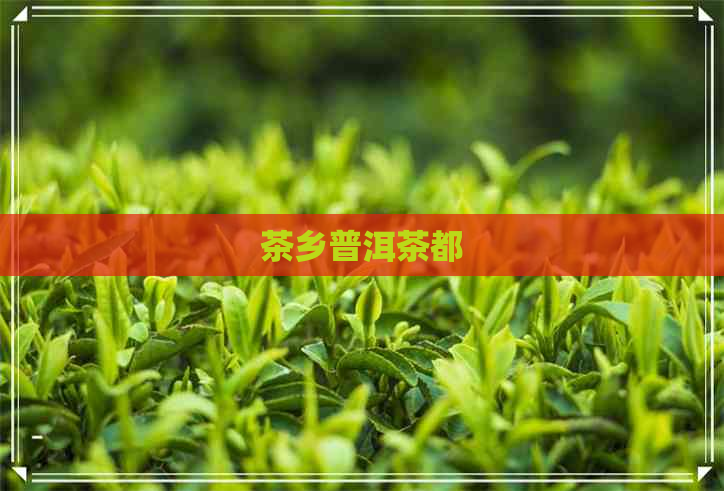 茶乡普洱茶都