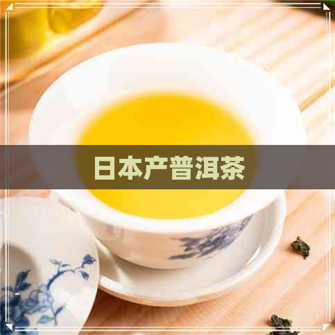 产普洱茶