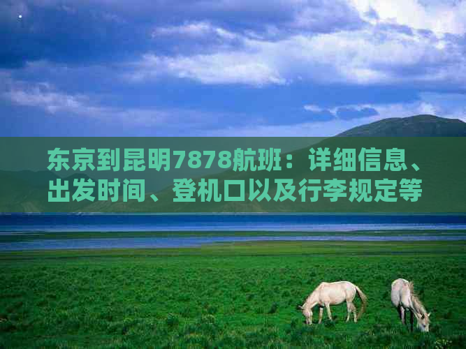 东京到昆明7878航班：详细信息、出发时间、登机口以及行李规定等全方位解答